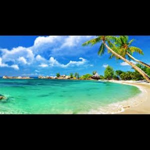 Meet your Posher, Brenna